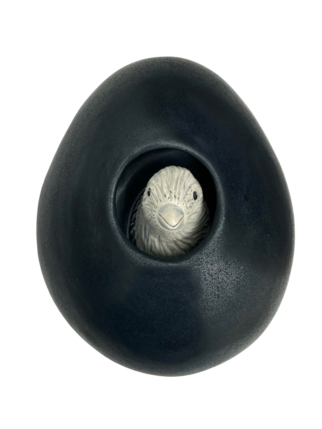 Nest