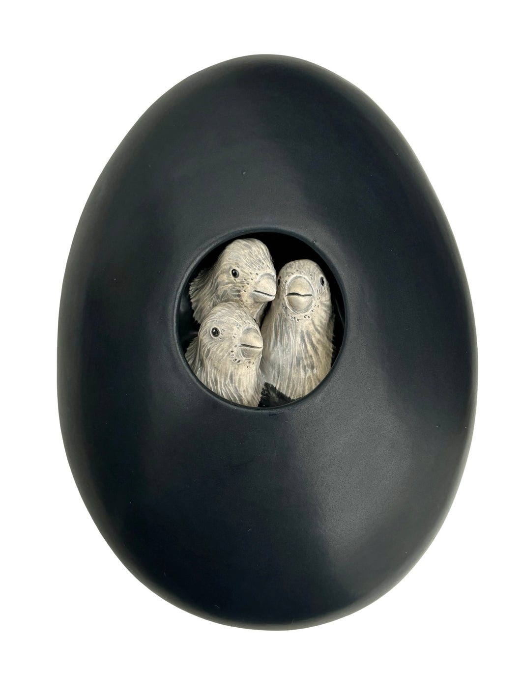 Nest
