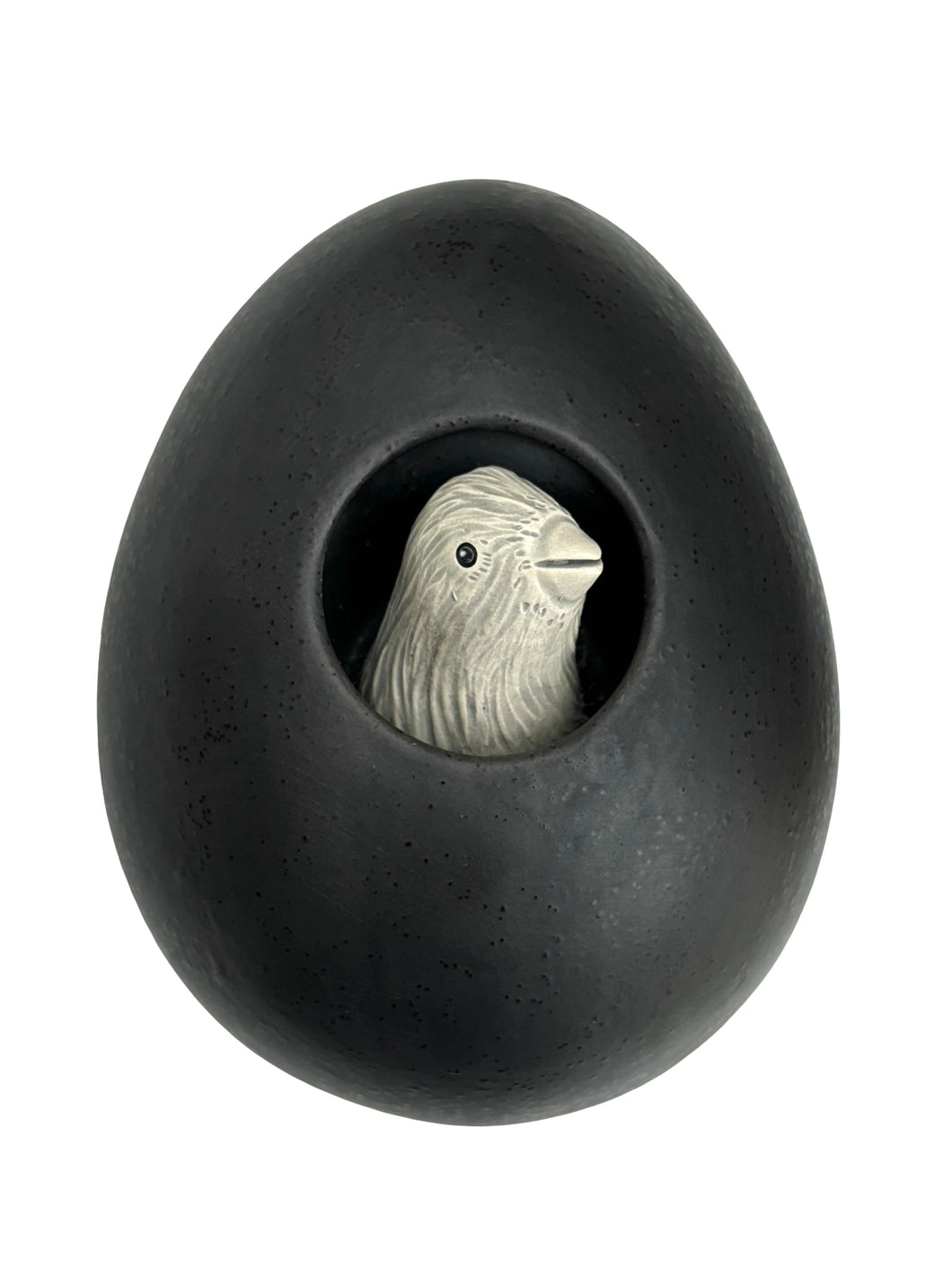 Nest